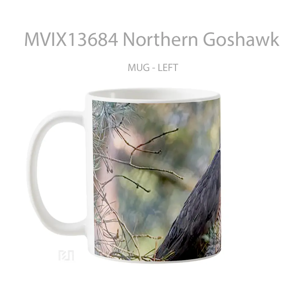 Mug Northern Goshawk Gelas Keramik Unik - All-side / Desain