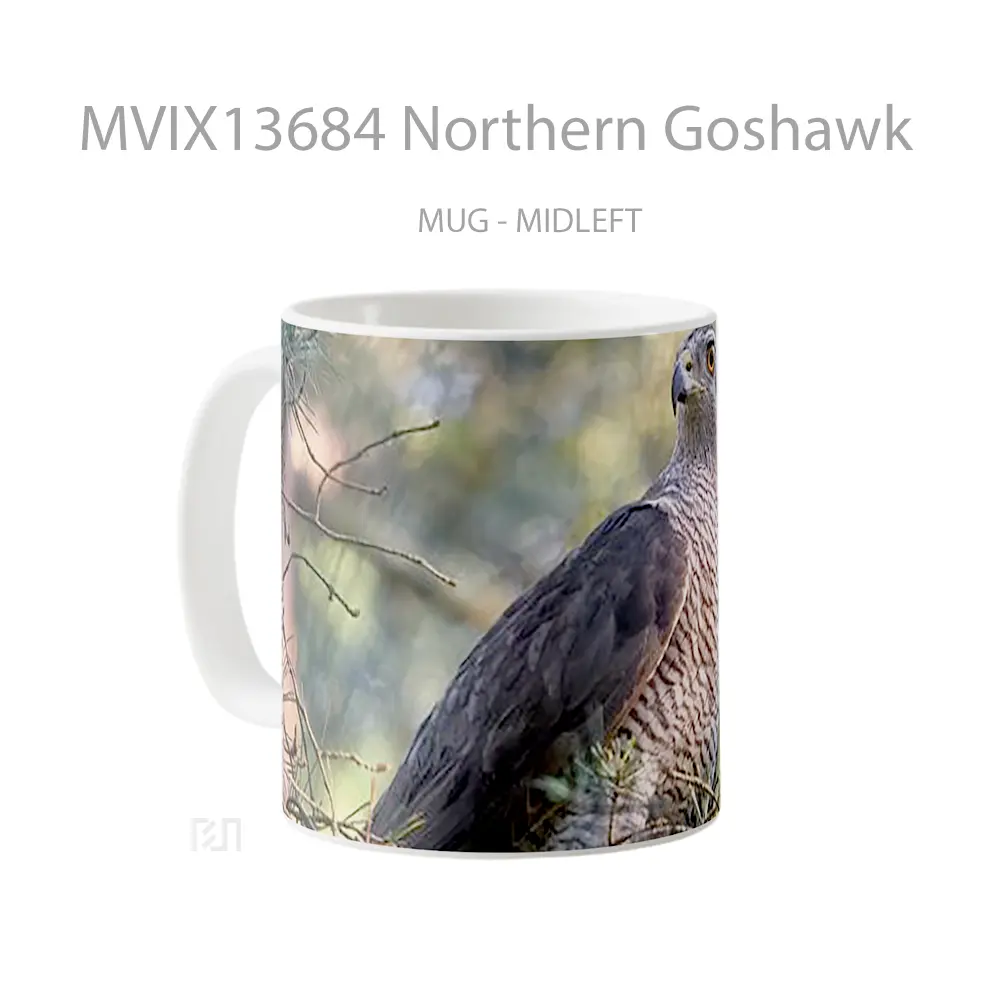 Mug Northern Goshawk Gelas Keramik Unik - All-side / Desain