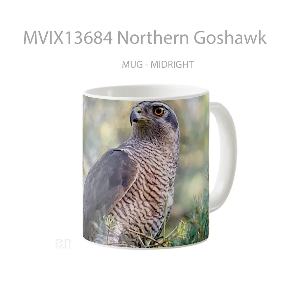 Mug Northern Goshawk Gelas Keramik Unik - All-side / Desain
