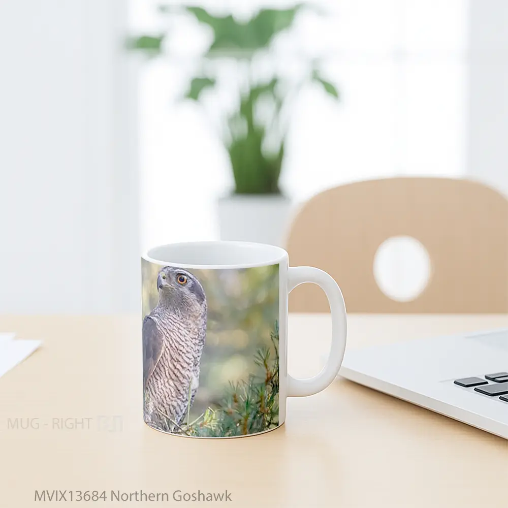 Mug Northern Goshawk Gelas Keramik Unik - All-side / Desain