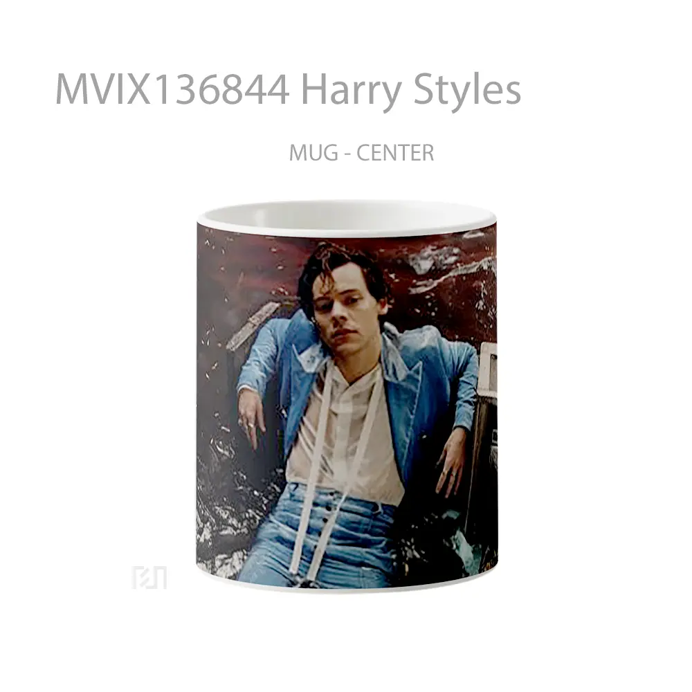 Mug Harry Styles Gelas Keramik Unik