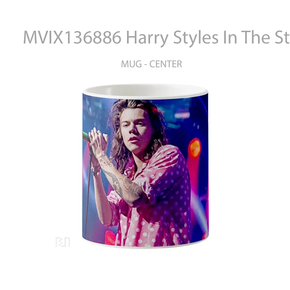 Mug Harry Styles In The Stage Gelas Keramik Unik