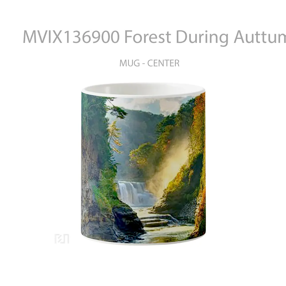 Mug Forest During Auttumn Gelas Pemandangan Alam