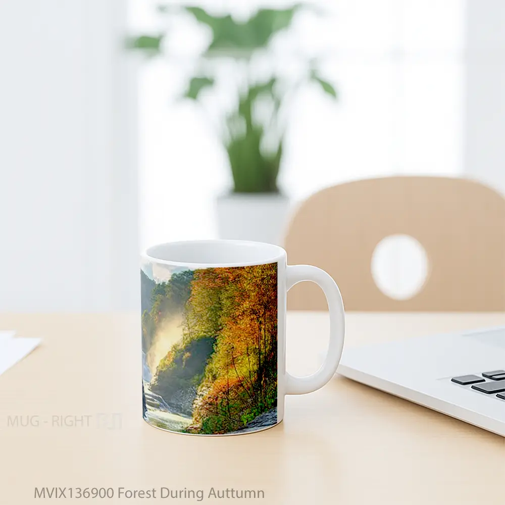 Mug Forest During Auttumn Gelas Pemandangan Alam - All-side / Desain