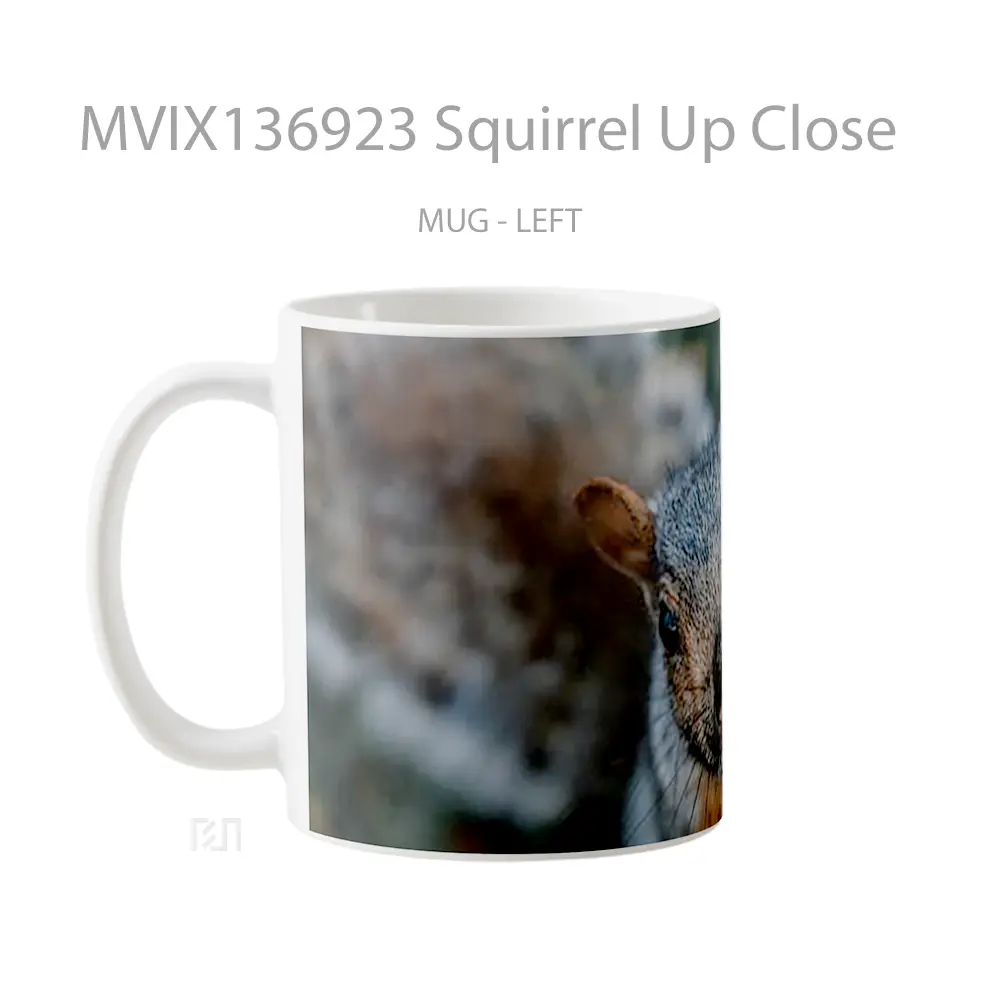 Mug Squirrel Up Close Gelas Keramik Unik - All-side / Desain