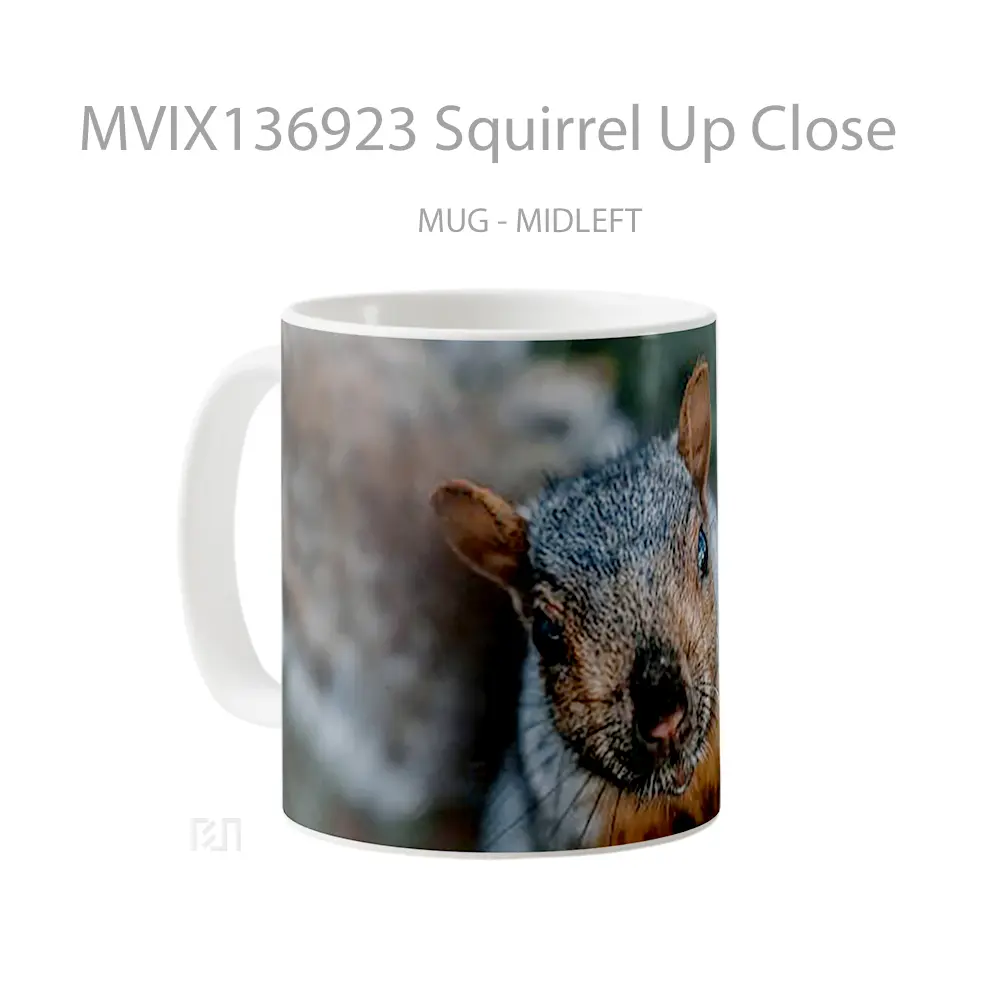 Mug Squirrel Up Close Gelas Keramik Unik - All-side / Desain