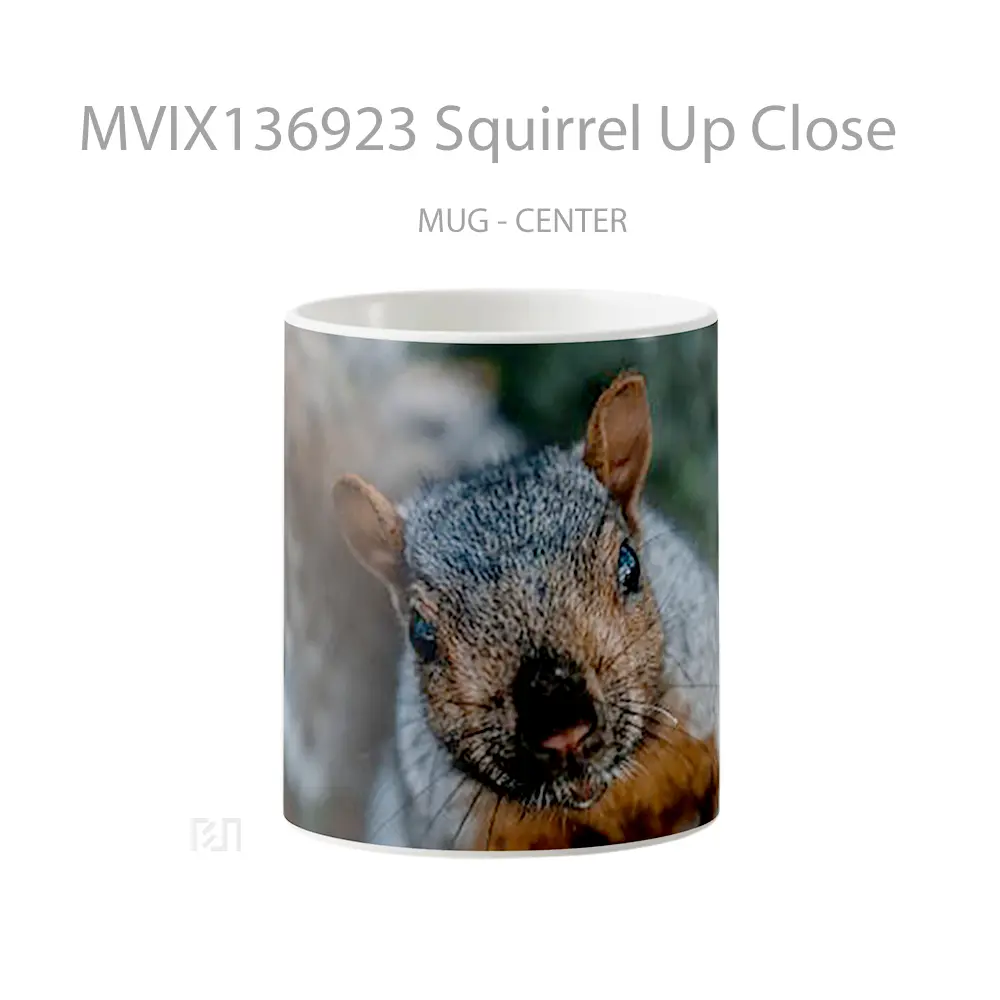 Mug Squirrel Up Close Gelas Keramik Unik