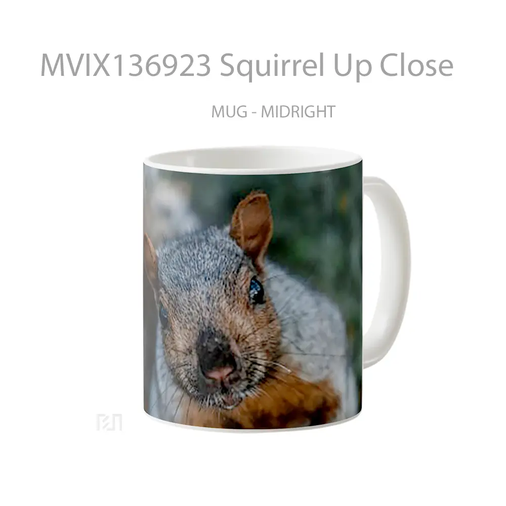 Mug Squirrel Up Close Gelas Keramik Unik - All-side / Desain