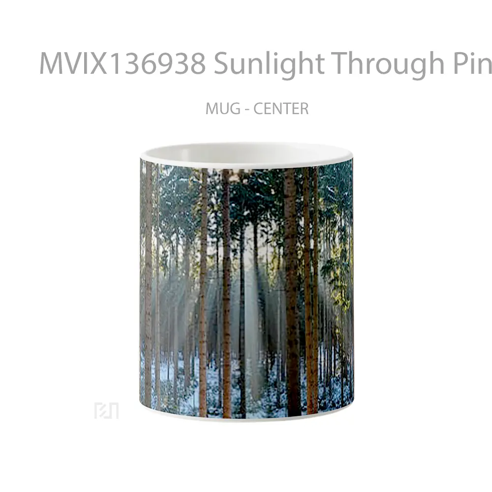 Mug Sunlight Through Pines In The Forest Gelas Pemandangan Alam