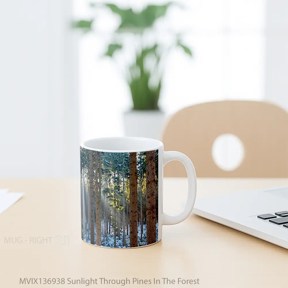 Mug Sunlight Through Pines In The Forest Gelas Pemandangan Alam - All-side / Desain