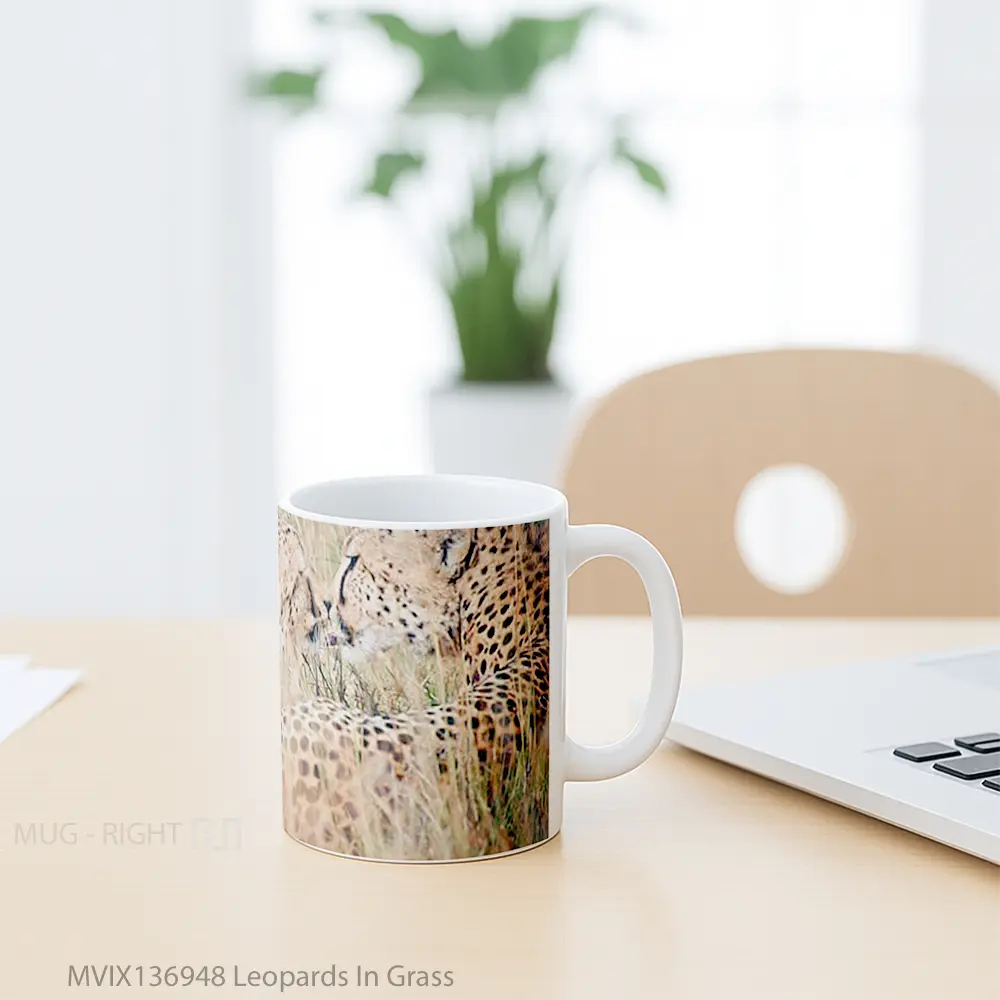 Mug Leopards In Grass Gelas Keramik Unik - All-side / Desain