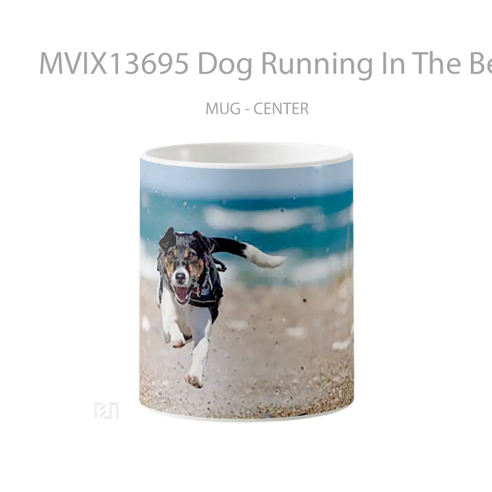 Mug Dog Running In The Beach Gelas Hewan Lucu