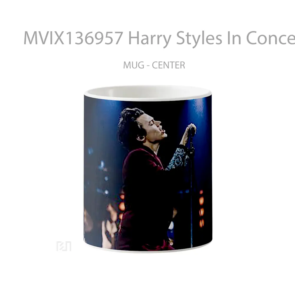Mug Harry Styles In Concert Gelas Keramik Unik