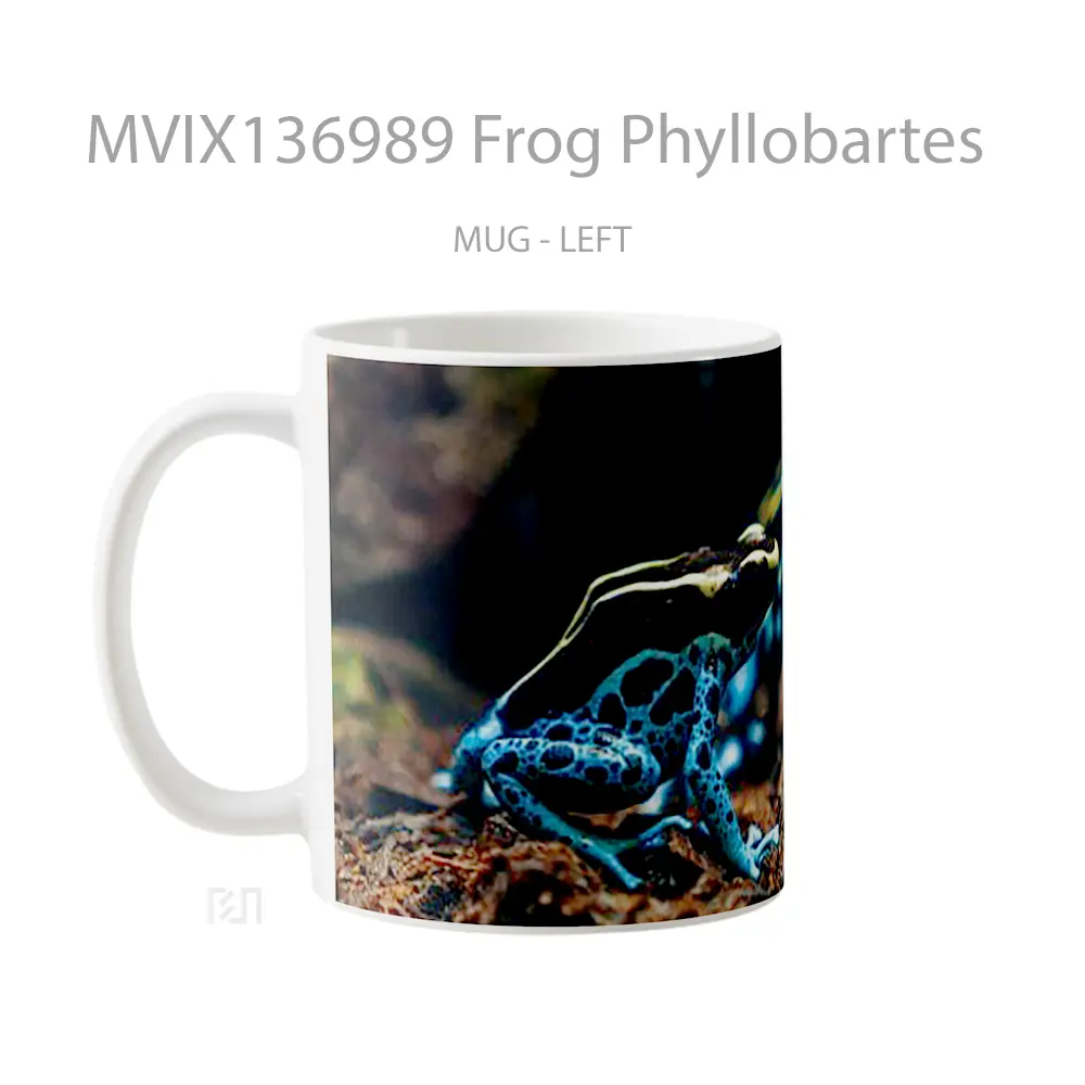 Mug Frog Phyllobartes Gelas Keramik Unik - All-side / Desain