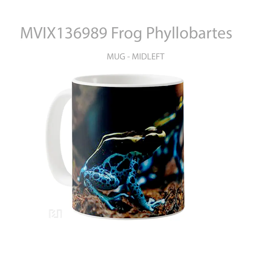 Mug Frog Phyllobartes Gelas Keramik Unik - All-side / Desain
