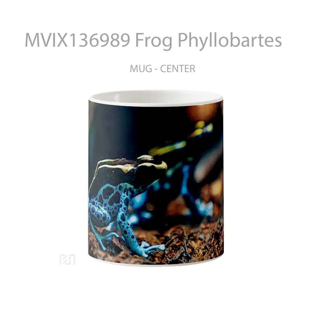 Mug Frog Phyllobartes Gelas Keramik Unik