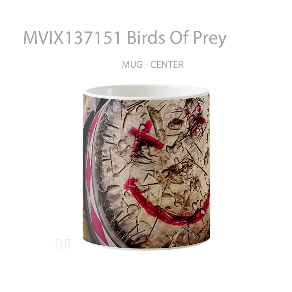 Mug Birds Of Prey Gelas Hewan Lucu