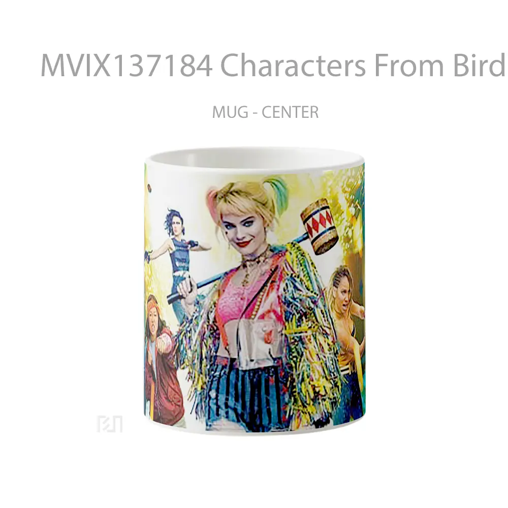 Mug Characters From Birds Of Prey Gelas Hewan Lucu