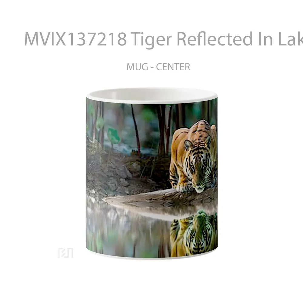 Mug Tiger Reflected In Lake Gelas Hewan Lucu