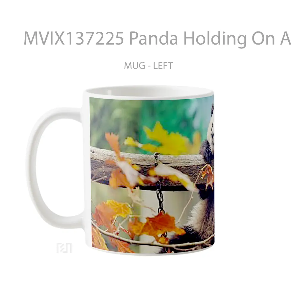 Mug Panda Holding On A Branch Gelas Hewan Lucu - All-side / Desain