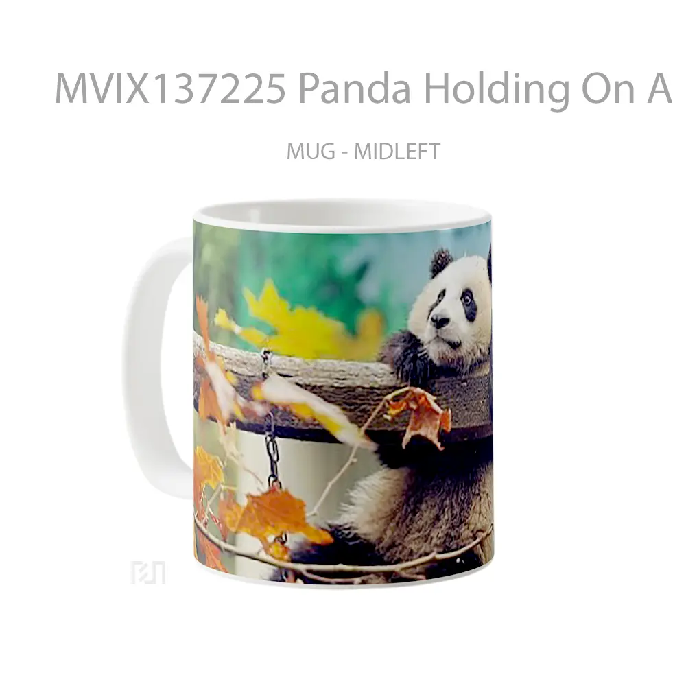Mug Panda Holding On A Branch Gelas Hewan Lucu - All-side / Desain