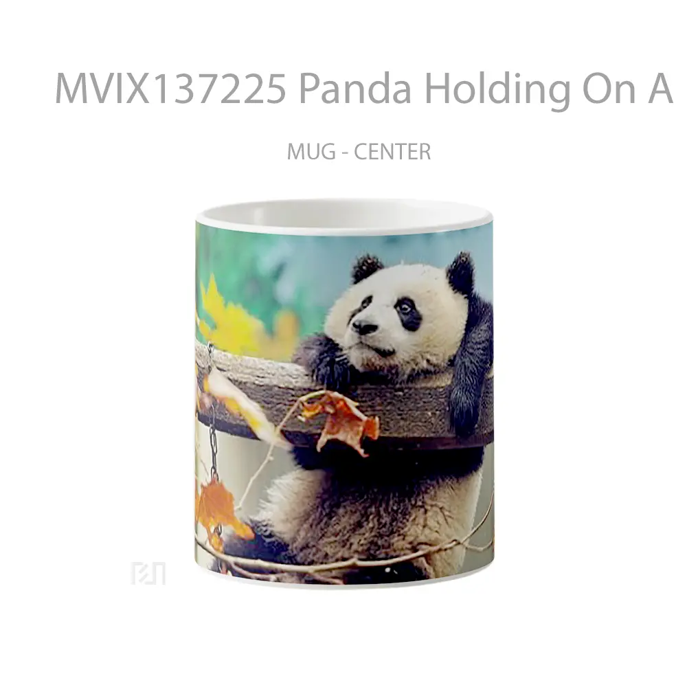 Mug Panda Holding On A Branch Gelas Hewan Lucu