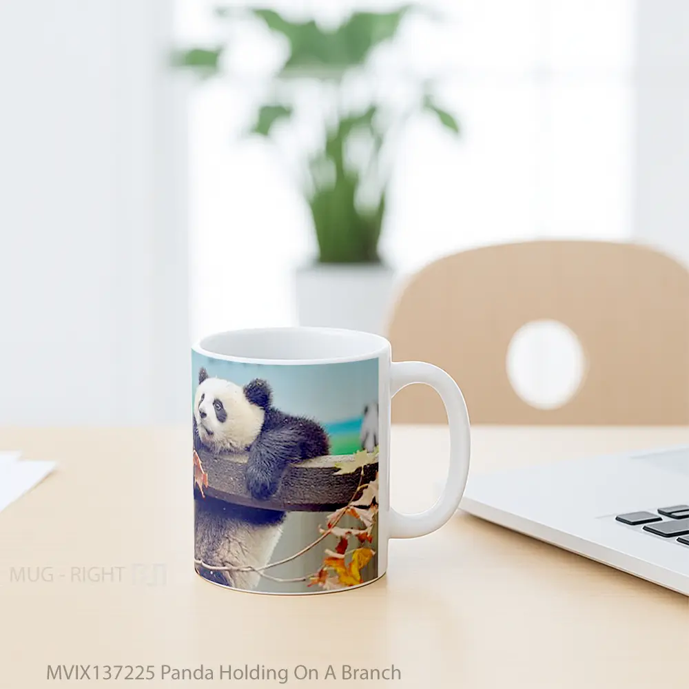 Mug Panda Holding On A Branch Gelas Hewan Lucu - All-side / Desain