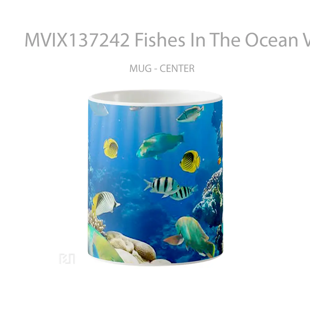 Mug Fishes In The Ocean V1 Gelas Hewan Lucu