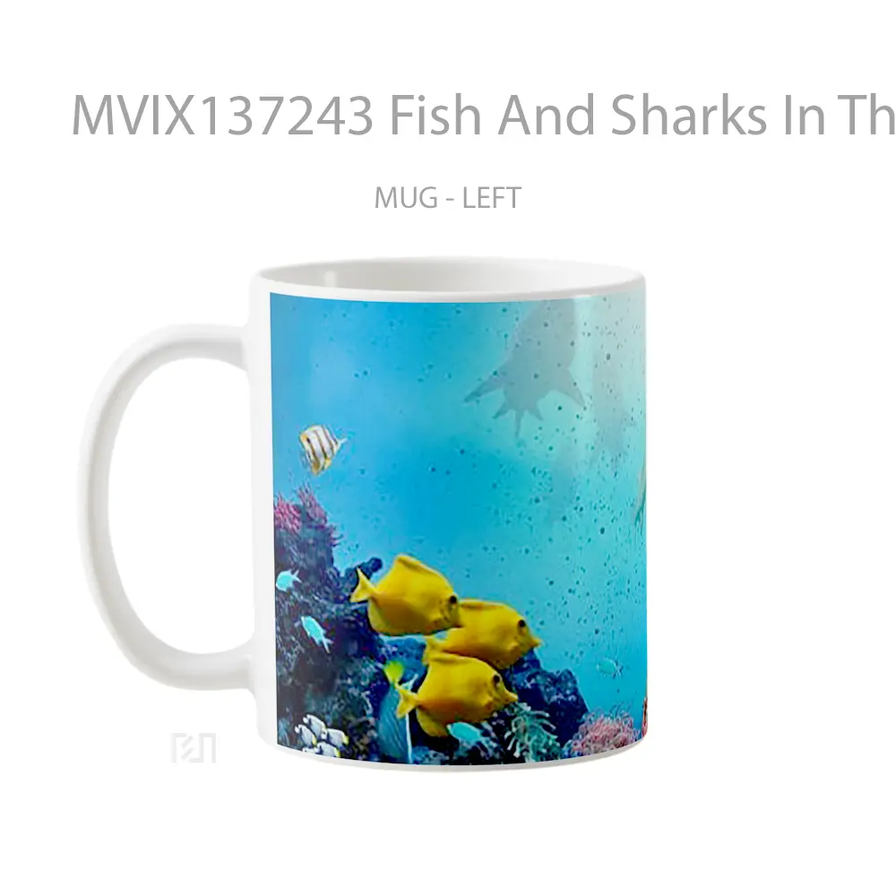 Mug Fish And Sharks In The Ocean Gelas Hewan Lucu - All-side / Desain