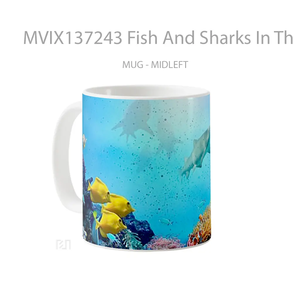 Mug Fish And Sharks In The Ocean Gelas Hewan Lucu - All-side / Desain