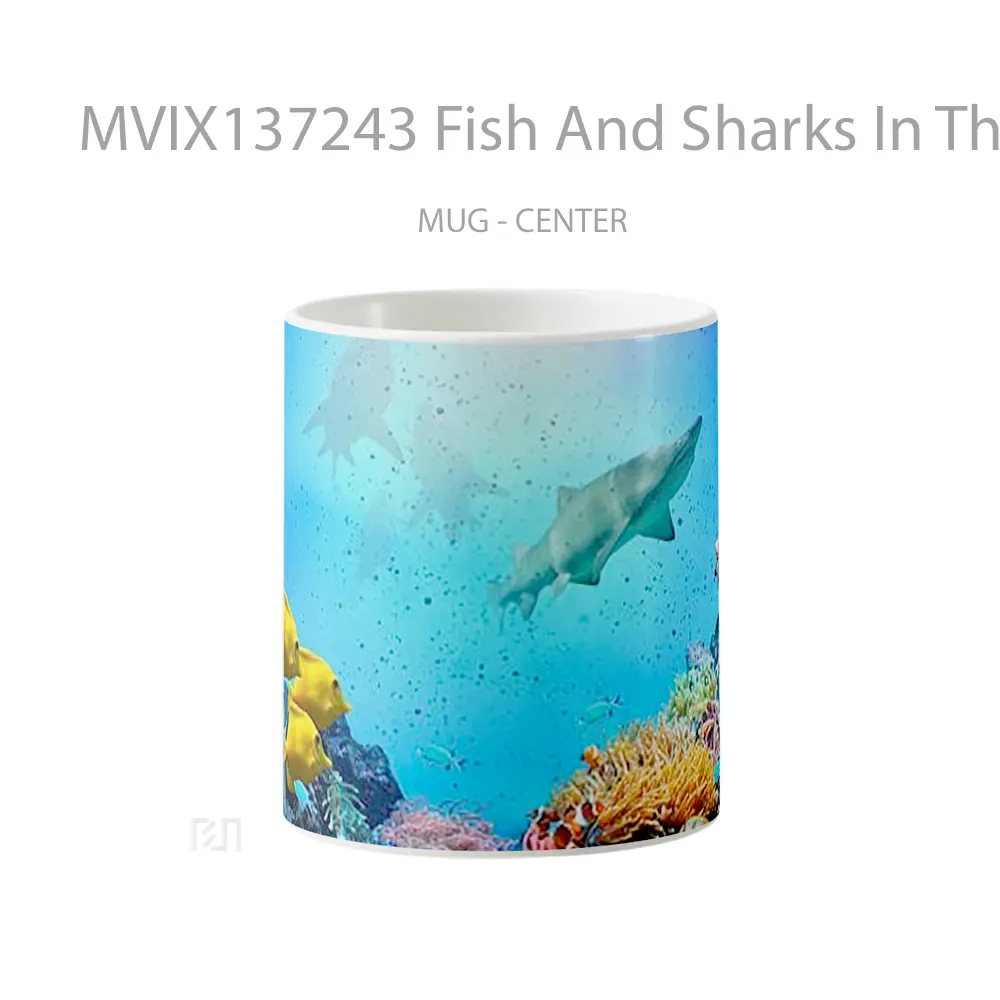 Mug Fish And Sharks In The Ocean Gelas Hewan Lucu