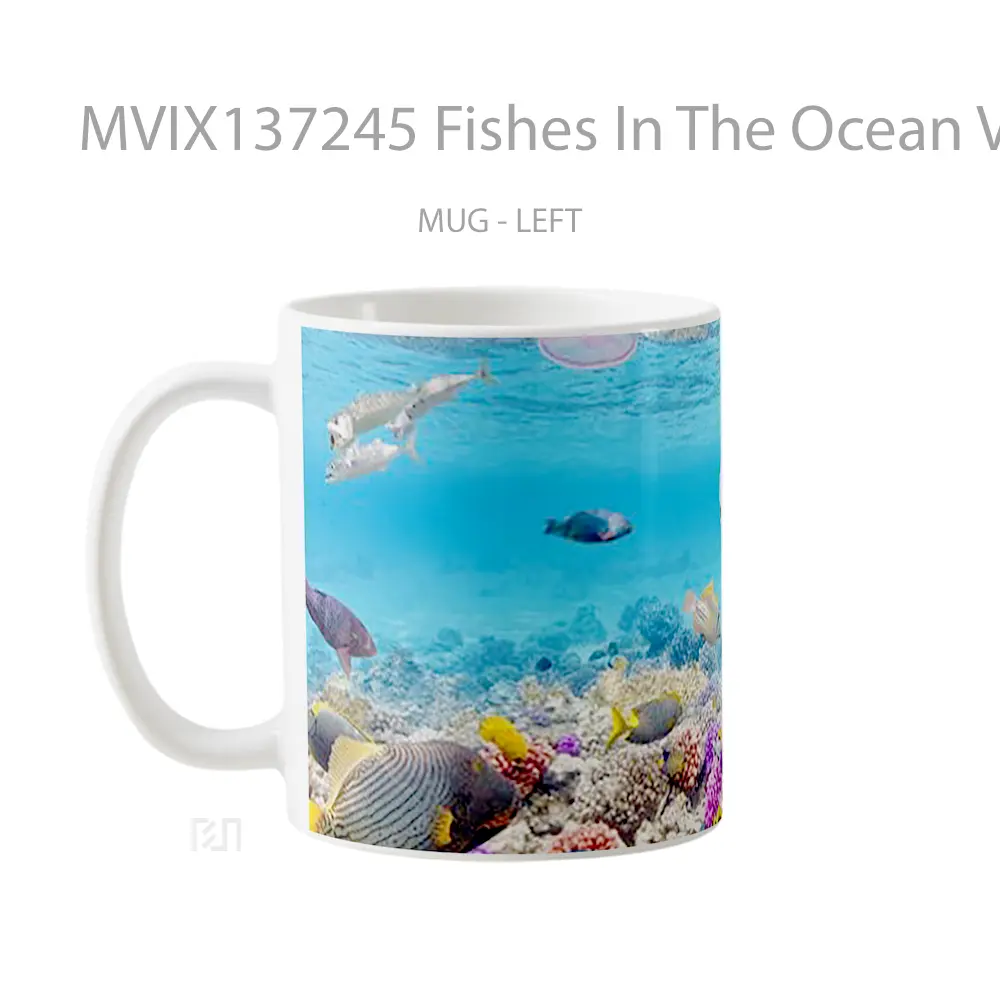 Mug Fishes In The Ocean V2 Gelas Hewan Lucu - All-side / Desain