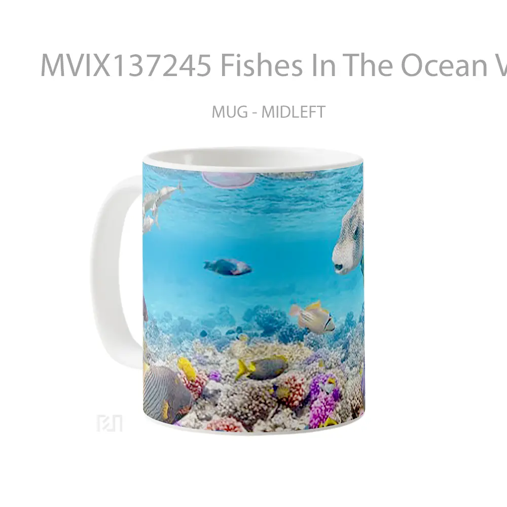 Mug Fishes In The Ocean V2 Gelas Hewan Lucu - All-side / Desain
