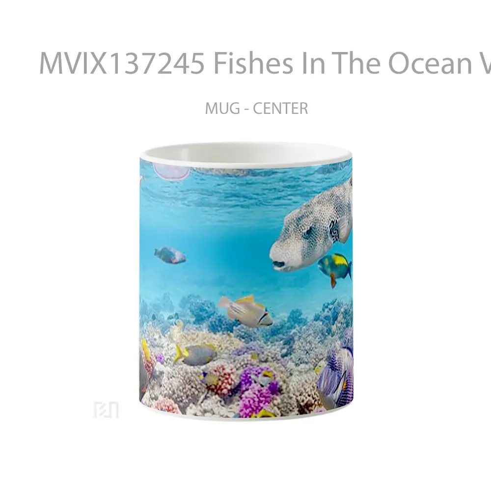 Mug Fishes In The Ocean V2 Gelas Hewan Lucu