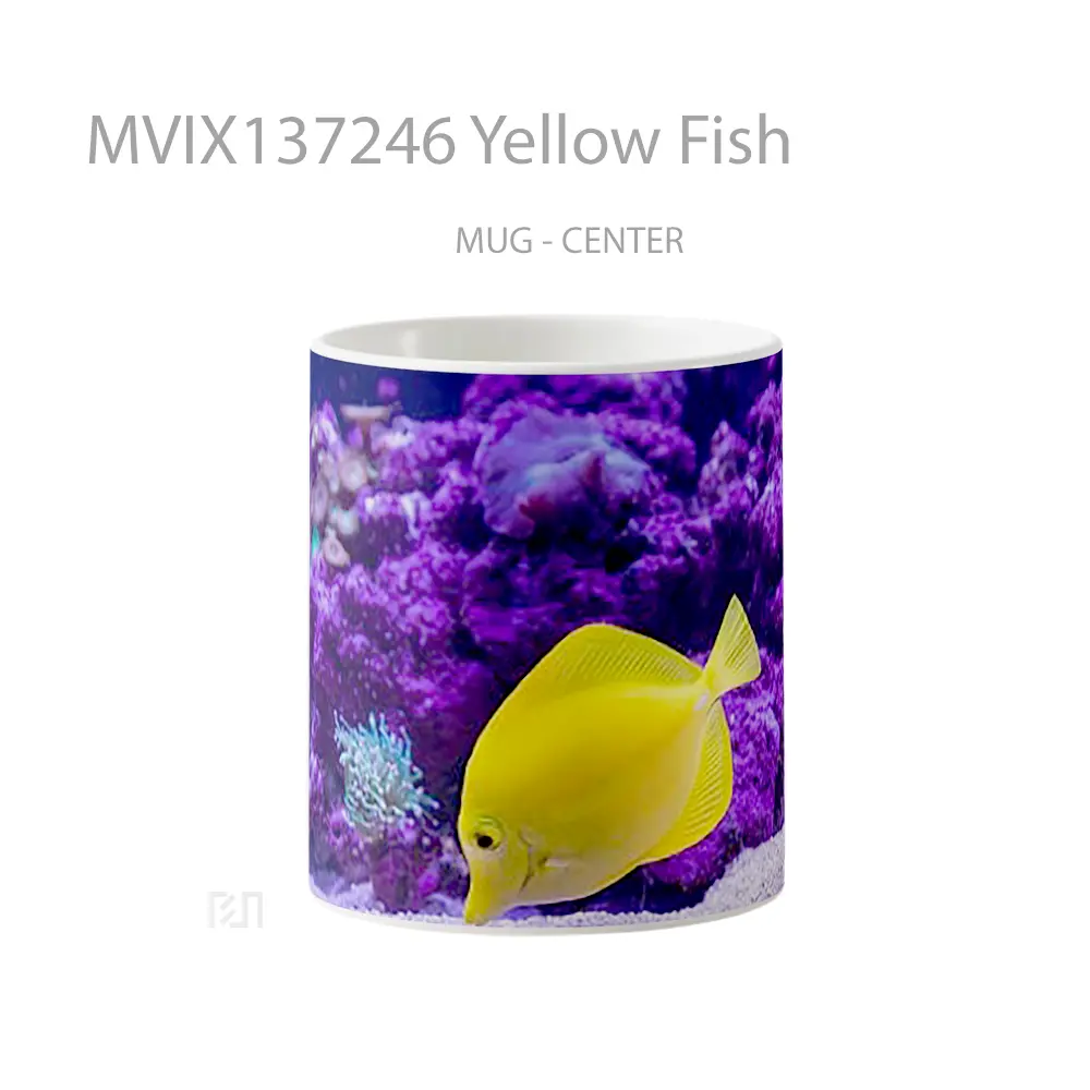 Mug Yellow Fish Gelas Hewan Lucu