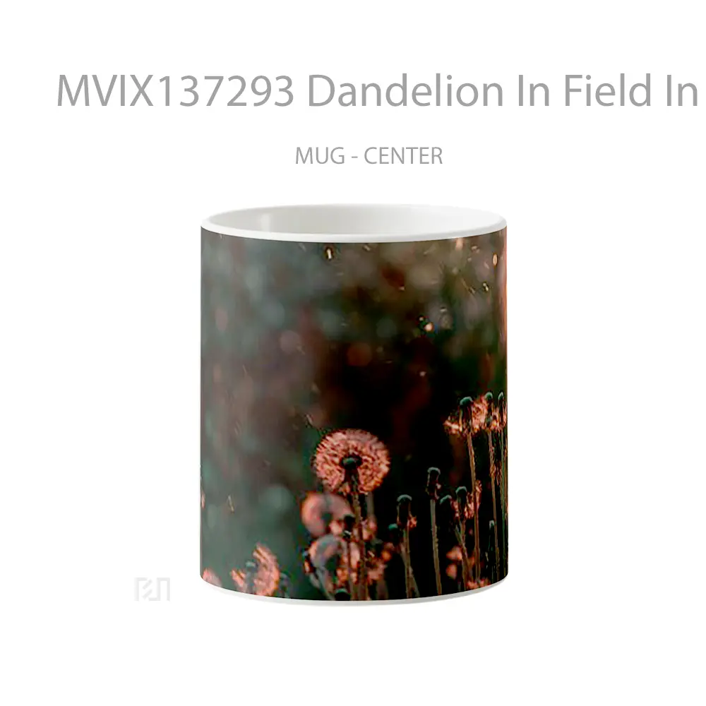 Mug Dandelion In Field In The Sunlight Gelas Pemandangan Alam