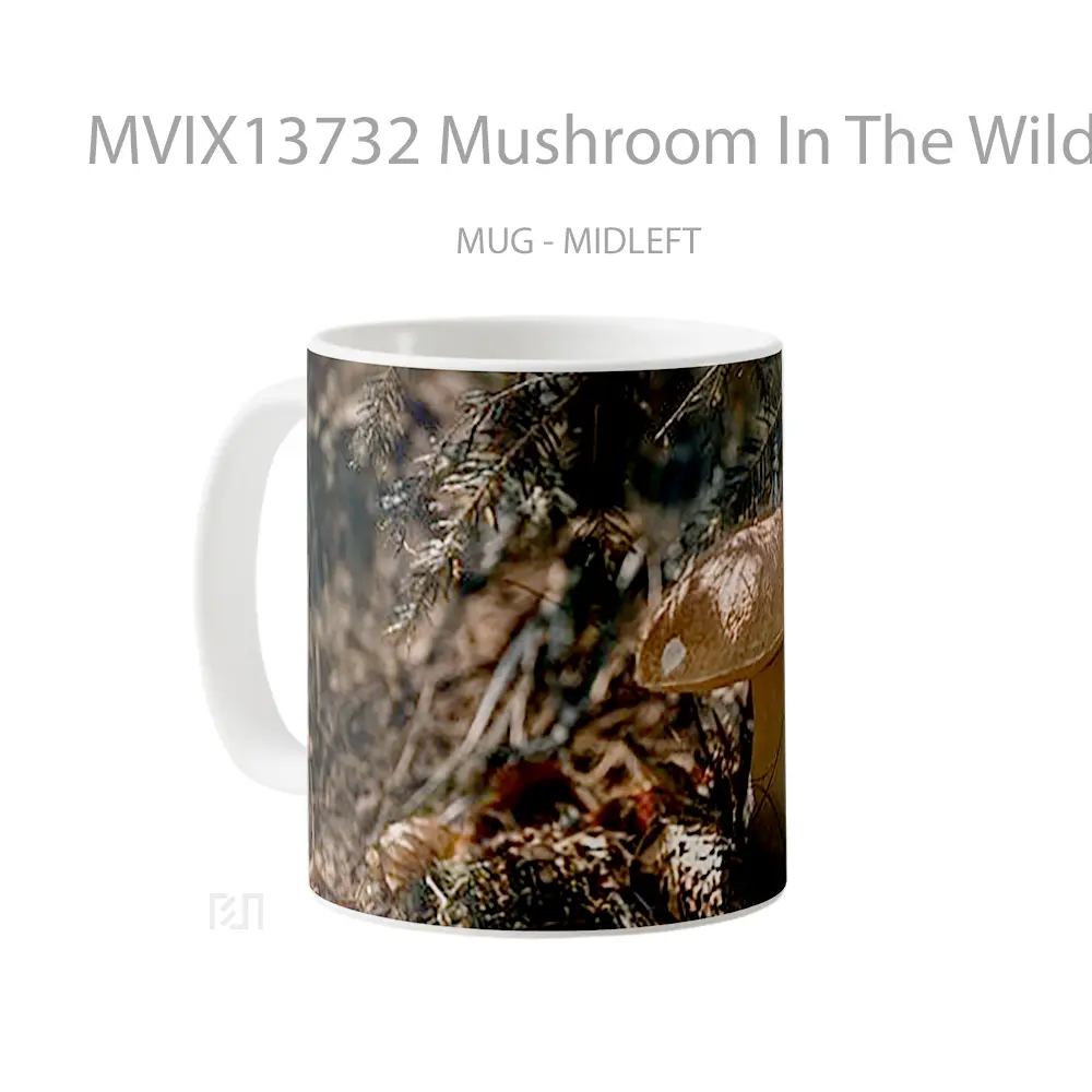 Mug Mushroom In The Wild Gelas Keramik Unik - All-side / Desain