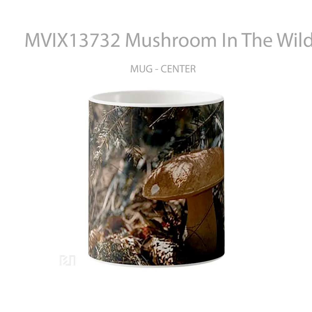 Mug Mushroom In The Wild Gelas Keramik Unik