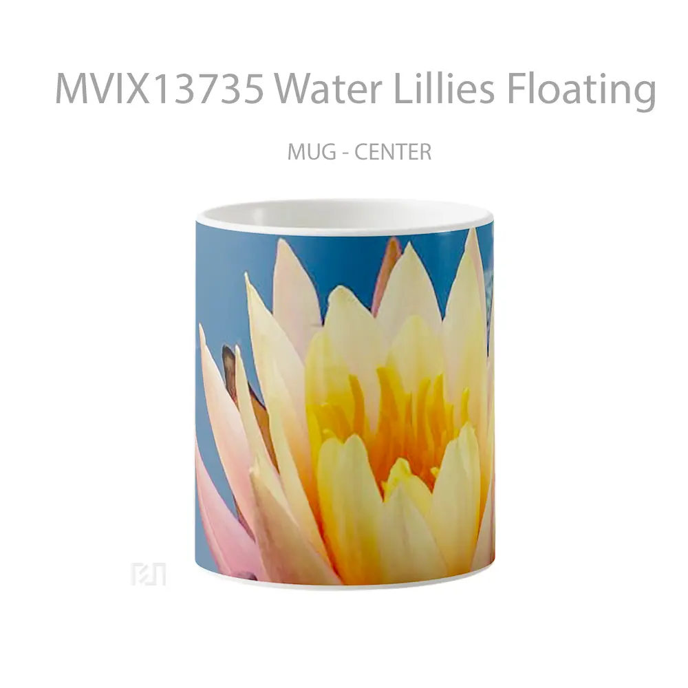 Mug Water Lillies Floating Gelas Pemandangan Alam