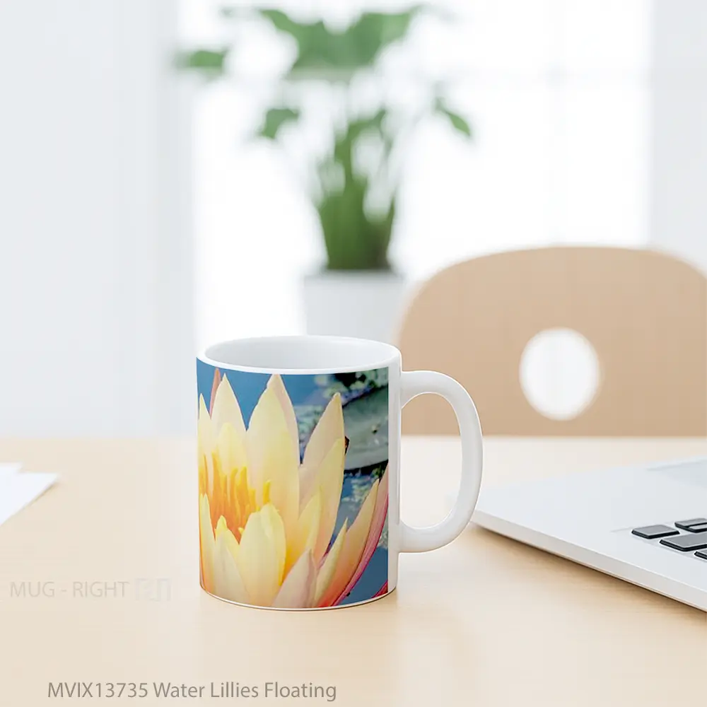 Mug Water Lillies Floating Gelas Pemandangan Alam - All-side / Desain