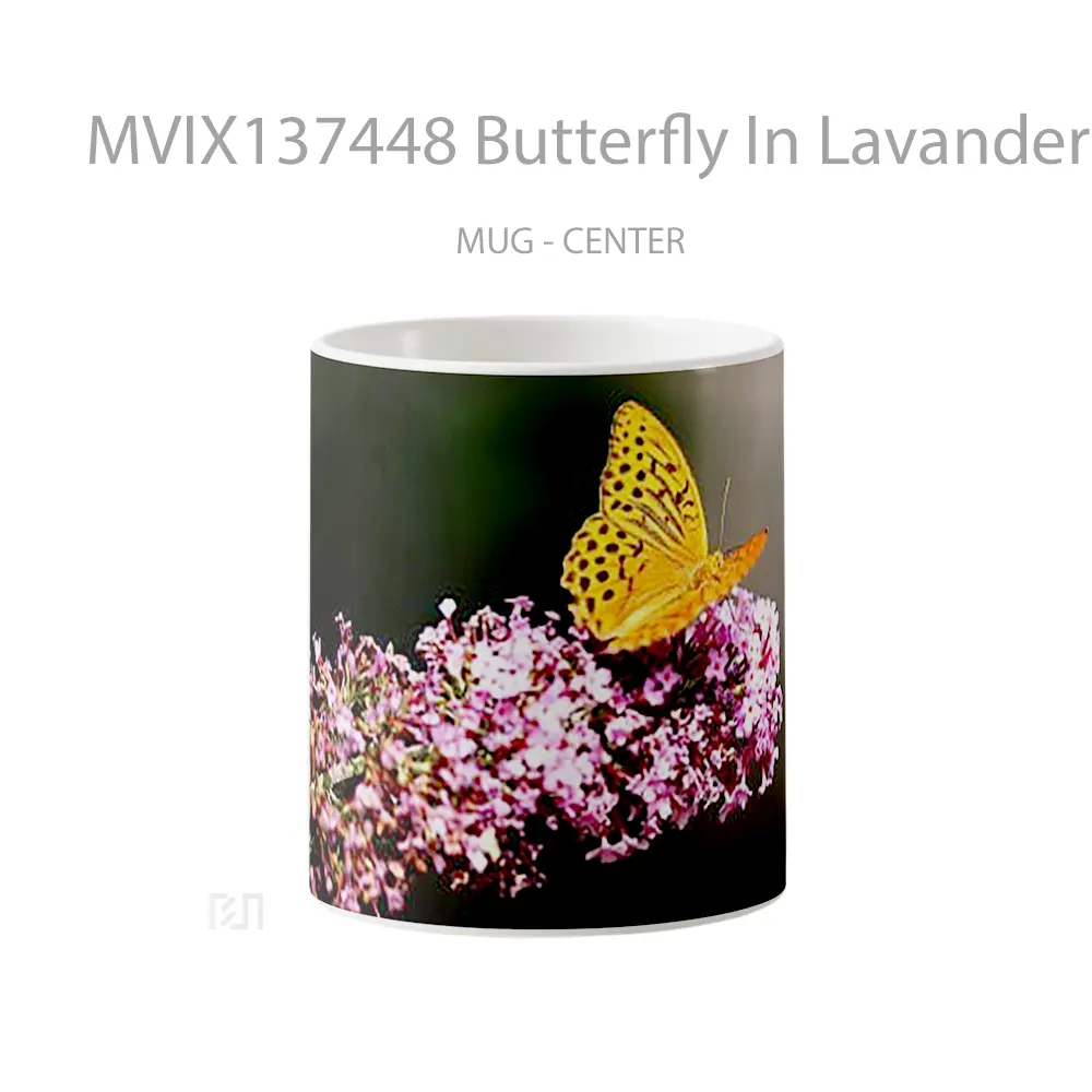 Mug Butterfly In Lavander Gelas Hewan Lucu