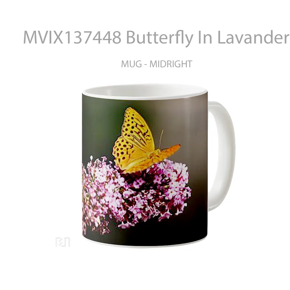 Mug Butterfly In Lavander Gelas Hewan Lucu - All-side / Desain