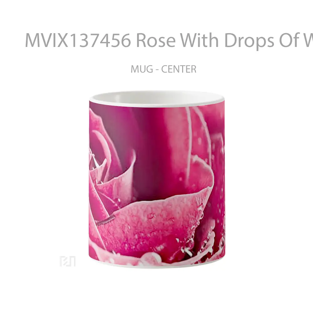 Mug Rose With Drops Of Water Gelas Pemandangan Alam