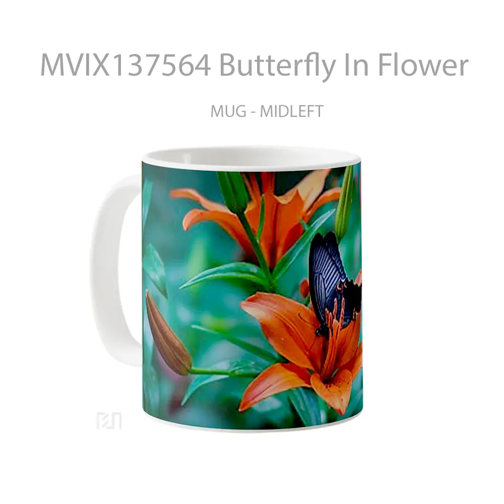 Mug Butterfly In Flower Gelas Hewan Lucu - All-side / Desain