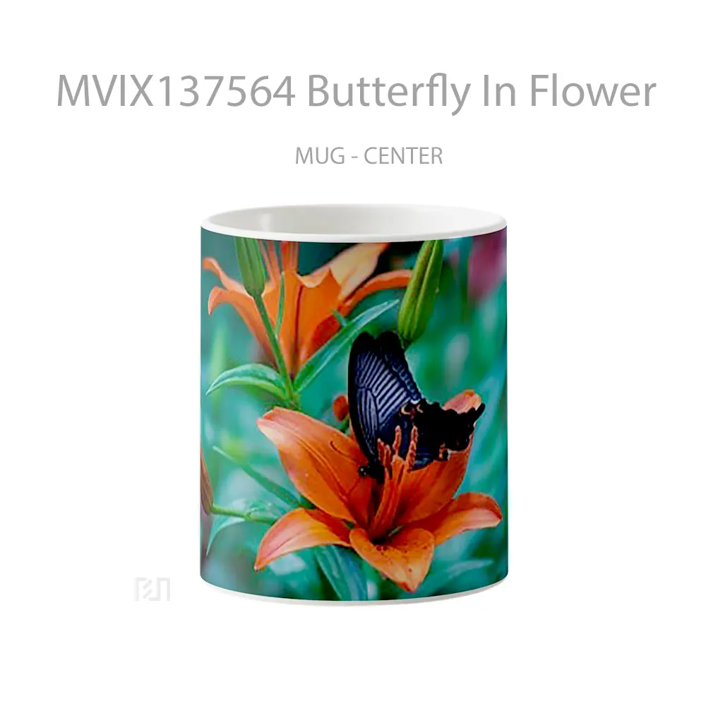 Mug Butterfly In Flower Gelas Hewan Lucu