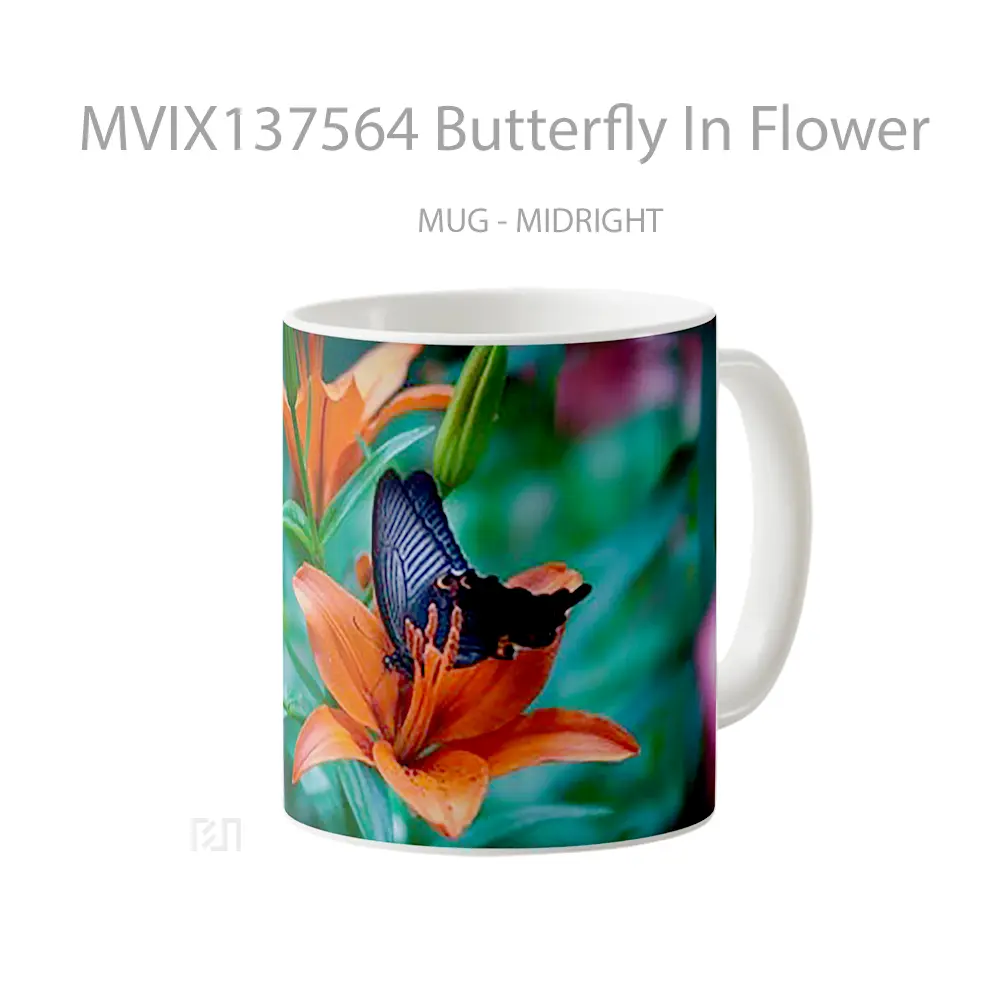 Mug Butterfly In Flower Gelas Hewan Lucu - All-side / Desain