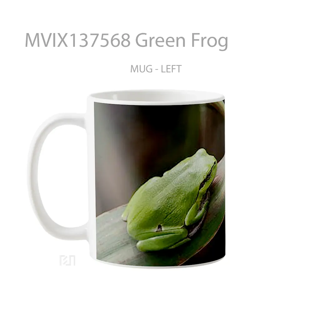 Mug Green Frog Gelas Keramik Unik - All-side / Desain