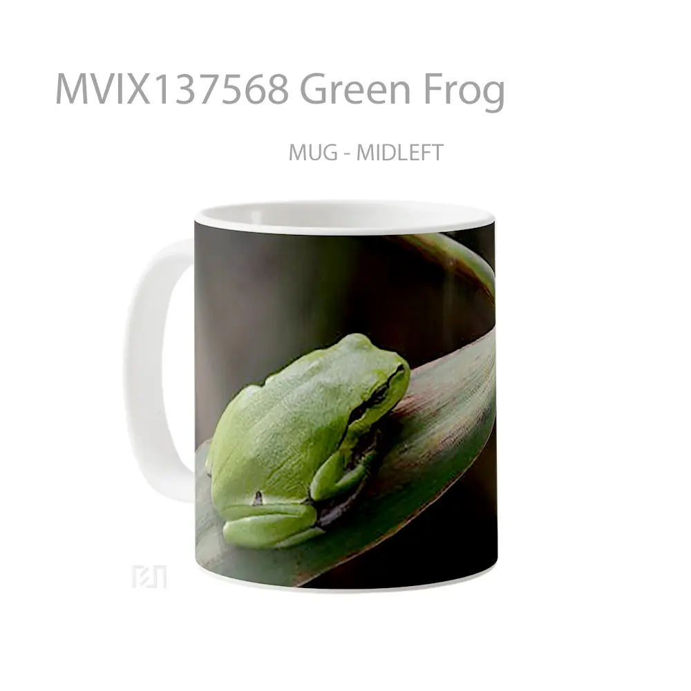Mug Green Frog Gelas Keramik Unik - All-side / Desain