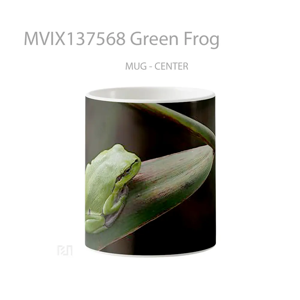 Mug Green Frog Gelas Keramik Unik