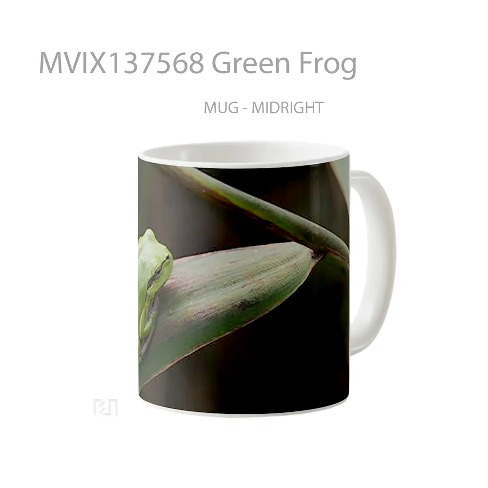 Mug Green Frog Gelas Keramik Unik - All-side / Desain